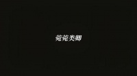 甄嬛传可真经典呀 看了不知道有多少遍啦