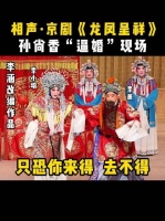 孙尚香逼婚名场面，相声京剧《龙凤呈祥》选段