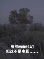 激光炮灭蚊场景科幻感拉满