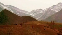1986年有一部电影上映后争议大到你想象不到