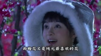 梅花是纯元喜欢的花