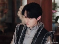 陈皮你是来捣乱的吧