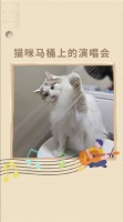猫咪马桶上的专属演唱会普洱是一只猫 骗你养猫系列