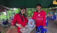 Ling与粉丝聊罗非鱼做法，泰语双关语引笑场