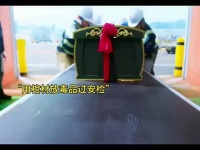 犯罪分子想用棺材运毒品，没想到重重关卡，最后被抓了现行！