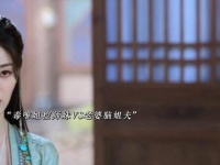 毒唯姐控与老婆脑正面交锋，谁能摘得争宠桂冠？