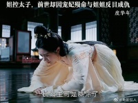 姐控太子却因宠妃殒命与姐姐反目成仇度华年甜喜古