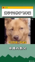刘宇宁 的爆笑名场面又加一， 一不小心还给铲飞了，又心疼又好笑