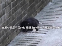 小柱把五爷失踪的消息带给仙姑 九门齐聚营救五爷…