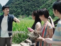 草药包被仿制，小芳不仅没生气还把摊主的草药全收了