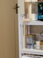 一起看鱼缸
