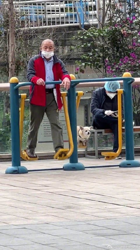 它应该没有烦恼吧，没有车贷房贷吧