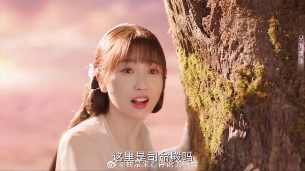 东方青苍为哄小兰花开心 为她建一座司命殿，太奢侈