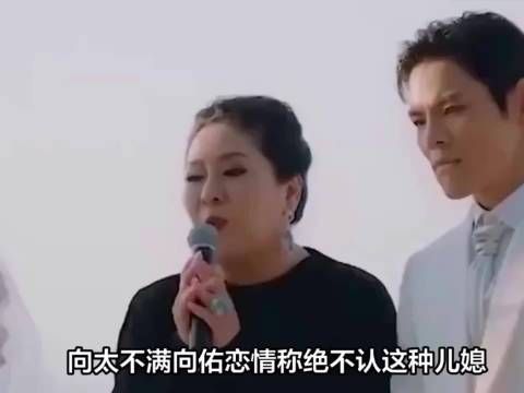 向太自曝逼向佑分手，坦言为护子操心