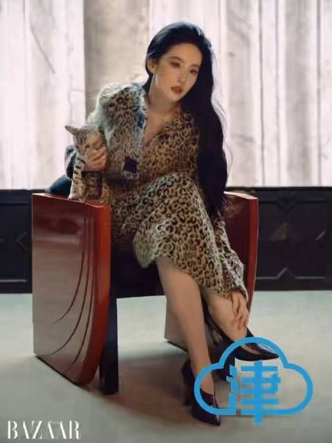 刘亦菲金九芭莎封面