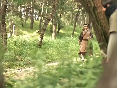 下饭神剧，解决剧荒 ，好片推荐官