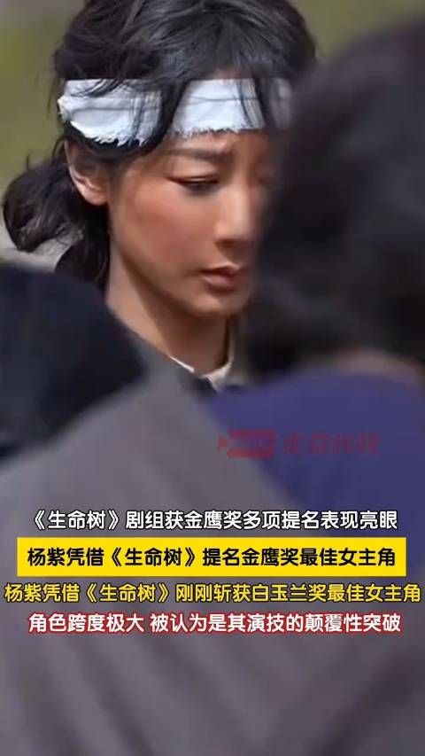 杨紫冲击双料视后