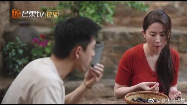 红豆买葡萄被黑心商贩骗，谢总情绪价值给满，阿奶演我磕CP