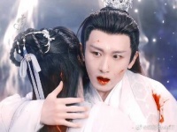 可惜你不看沉香如屑也不懂我的意难平