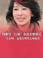 杨紫工作室回应金鹰奖提名