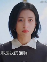 奇葩亲戚来借住 嫌脏扔掉了 女主养的流浪猫