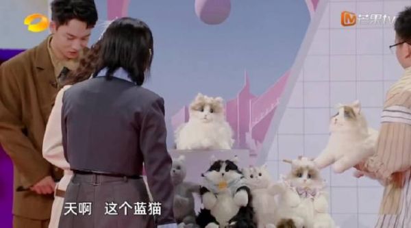 纯爱熊猫的那一年，此人直冲着熊猫就去了