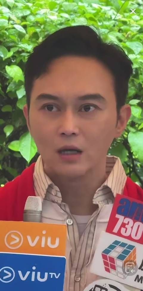 张智霖真年轻一看就是原生的