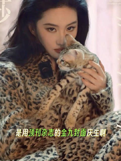 所有人，审美积累！刘亦菲太权威了