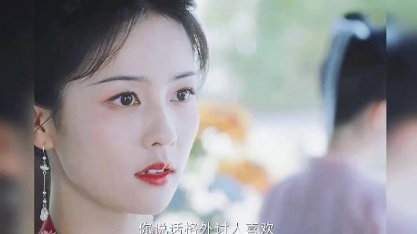 这就是宠臣的感觉吧！官家小姐和当朝长公主也好磕