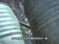 敌人用新进的炮炮轰八路阵地，却不料遭到战士们的偷袭