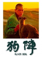 《狗阵》 两个被世界放逐的灵魂——人与犬，在苍茫荒漠里彼此托举、相互成全