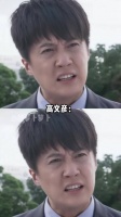 高珊珊给高文彦表白：我什么都不要了