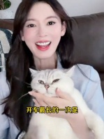陈瑶独自开车17小时带猫咪去横店