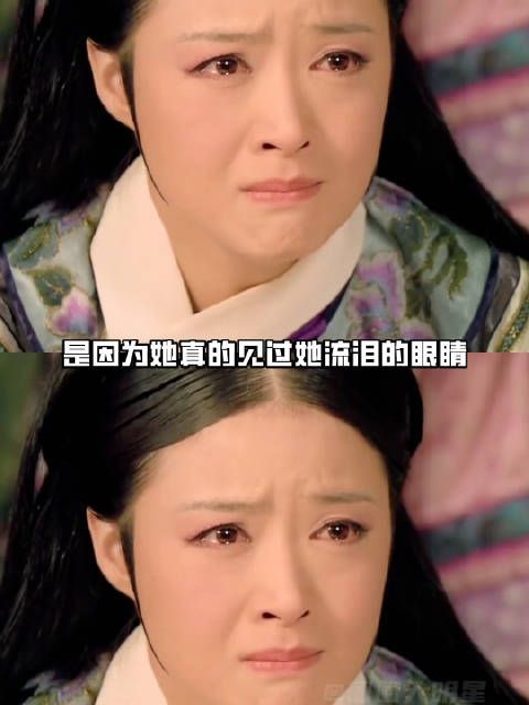 以颂芝的视角打开甄嬛传