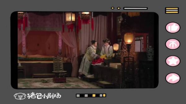 小角色亦精彩系列第一期宝鹃（14）