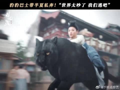 专属段半夏的久宣夜牌豹豹巴士出动啦!