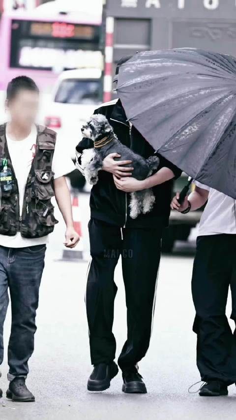 一早又开始羡慕脚不沾地的刘呆米小朋友