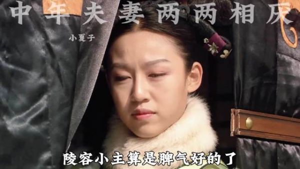 中年夫妻两两相厌 胖橘用纯元恶心宜修 宜修用华妃气着胖橘