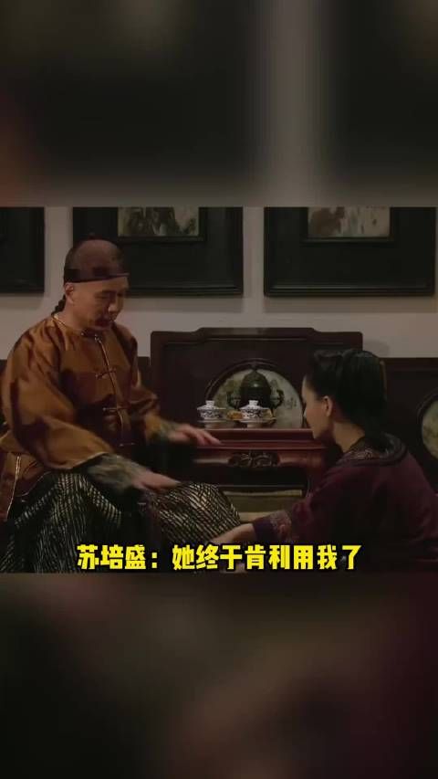 苏培盛：她终于肯利用我了！
