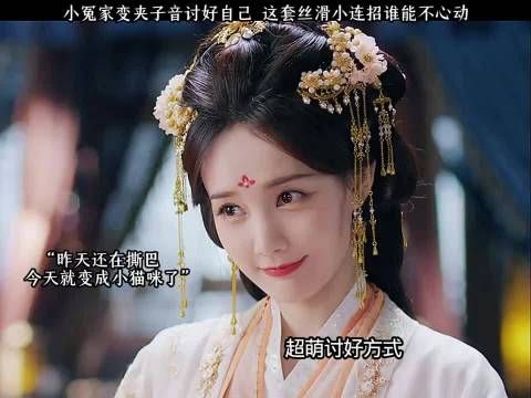 承认吧南珩，你就吃这一套 书卷一梦丨李一桐丨刘宇宁
