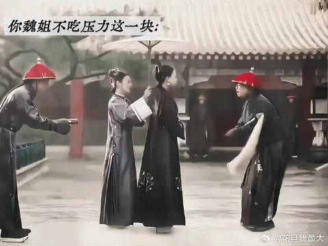 我魏璎珞天生脾气暴不好惹