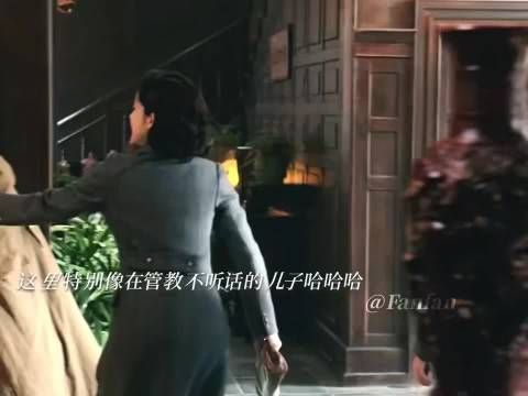 陈开来本想安稳谋生，却被金宝缠上，一路鸡飞狗跳，小人物的日常格外鲜活