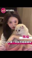 姐感很强的甜妹对我的吸引力belike 陈瑶