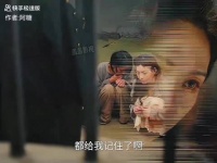 花钱买来的过去，精心设计的骗局，一句全是假的揭露真相