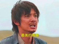 沙漠里长出了一棵树，可有人却想砍了它！