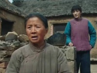 都拿去盖房