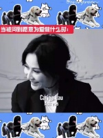 刘嘉玲和梁朝伟不愧是港圈最甜老夫老妻