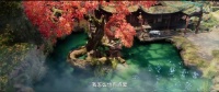 师兄 你实在是太稳健了！