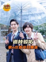 情感仿佛比预想中更加明媚温暖