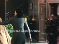 陈开来本想安稳谋生，却被金宝缠上，一路鸡飞狗跳，小人物的日常格外鲜活